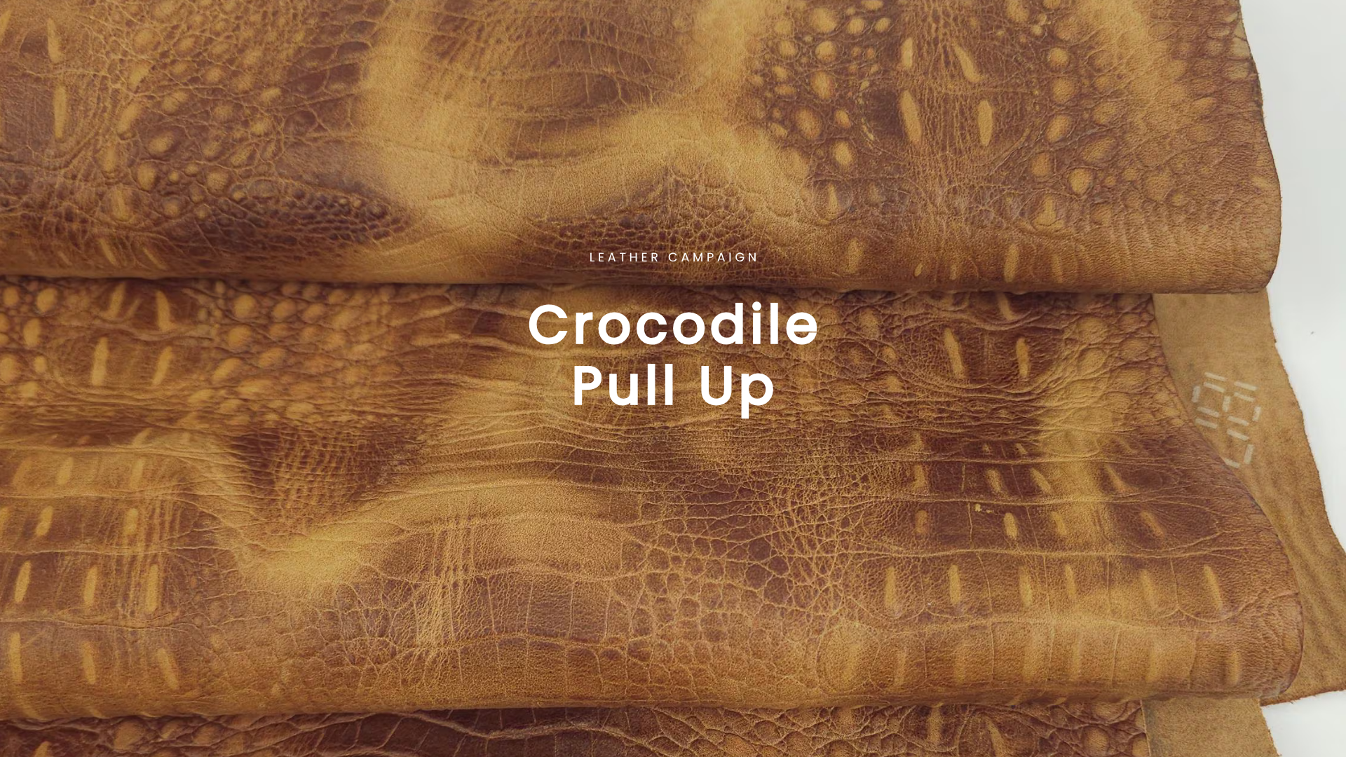 Croco 2018 v2 Pull Up